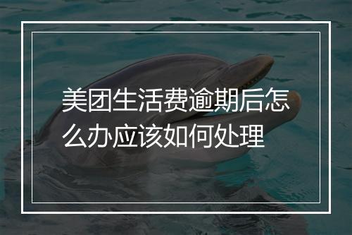 美团生活费逾期后怎么办应该如何处理