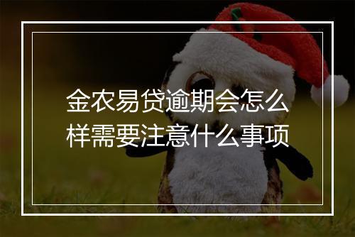 金农易贷逾期会怎么样需要注意什么事项