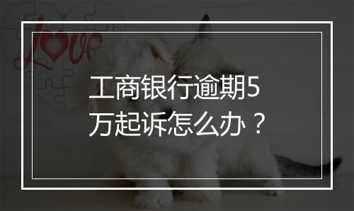 工商银行逾期5万起诉怎么办？