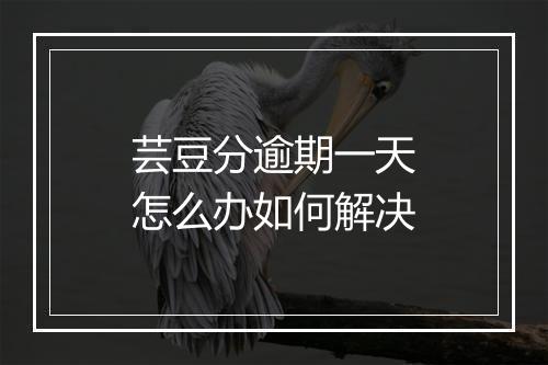 芸豆分逾期一天怎么办如何解决