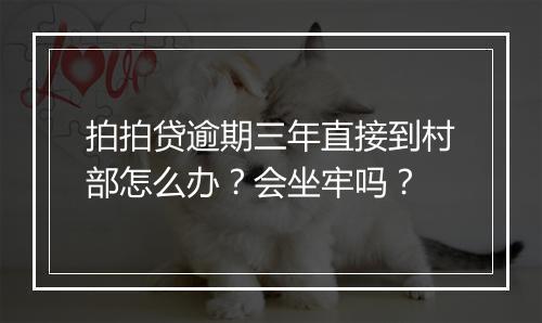 拍拍贷逾期三年直接到村部怎么办？会坐牢吗？
