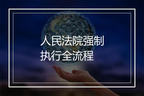 人民法院强制执行全流程