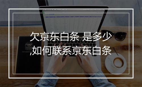 欠京东白条 是多少,如何联系京东白条