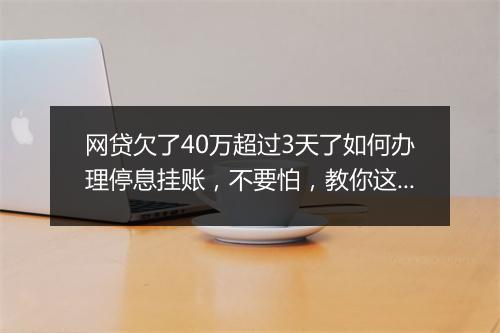 网贷欠了40万超过3天了如何办理停息挂账，不要怕，教你这样解决