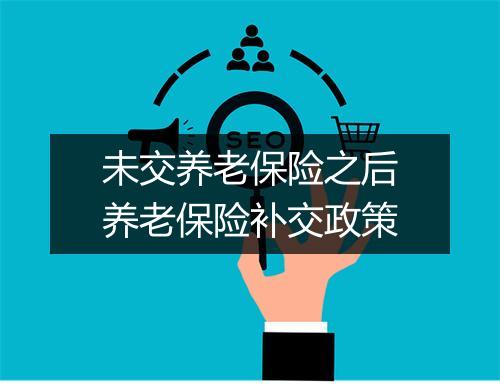 未交养老保险之后养老保险补交政策