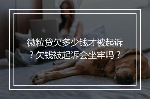 微粒贷欠多少钱才被起诉？欠钱被起诉会坐牢吗？