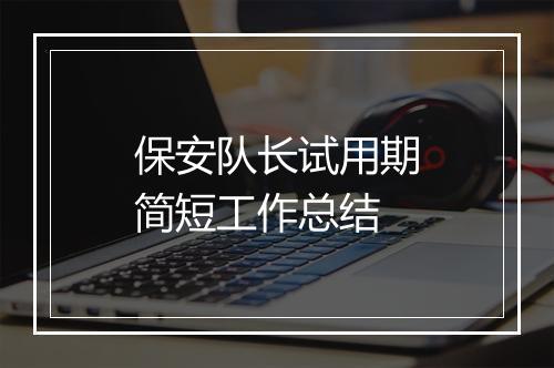 保安队长试用期简短工作总结