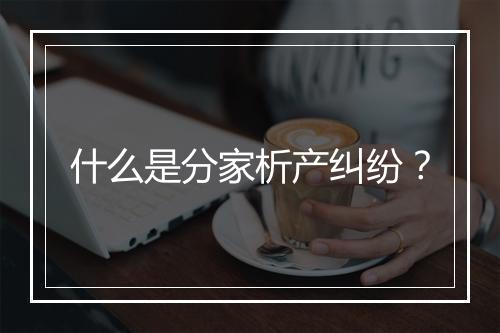 什么是分家析产纠纷？