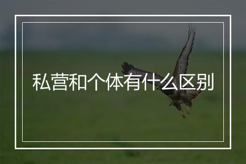 私营和个体有什么区别