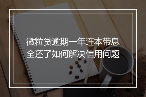微粒贷逾期一年连本带息全还了如何解决信用问题