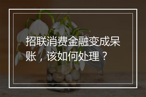 招联消费金融变成呆账，该如何处理？