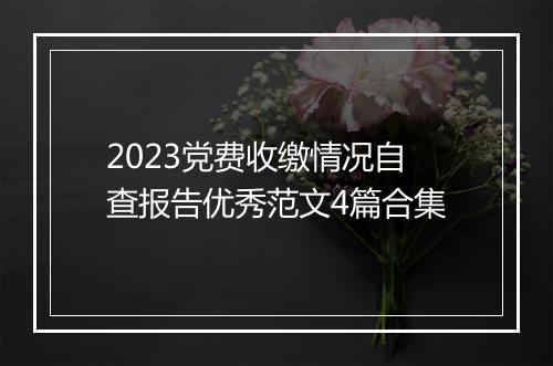 2023党费收缴情况自查报告优秀范文4篇合集
