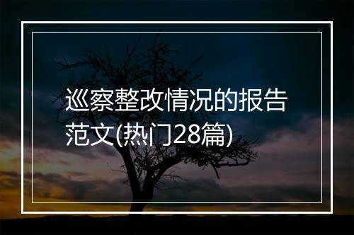 巡察整改情况的报告范文(热门28篇)