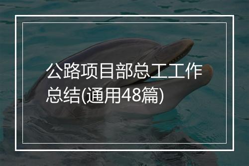 公路项目部总工工作总结(通用48篇)