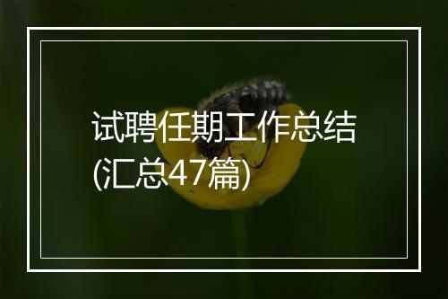 试聘任期工作总结(汇总47篇)