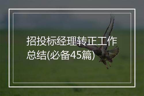 招投标经理转正工作总结(必备45篇)