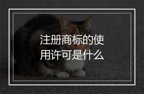 注册商标的使用许可是什么