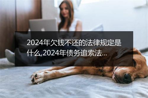2024年欠钱不还的法律规定是什么,2024年债务追索法律程序详解