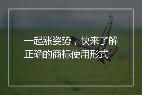 一起涨姿势，快来了解正确的商标使用形式