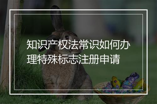 知识产权法常识如何办理特殊标志注册申请