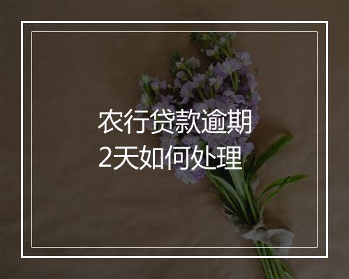 农行贷款逾期2天如何处理