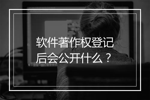 软件著作权登记后会公开什么？