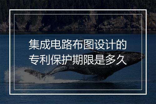 集成电路布图设计的专利保护期限是多久
