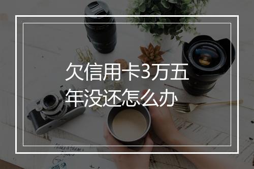 欠信用卡3万五年没还怎么办