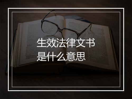 生效法律文书是什么意思