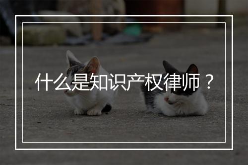 什么是知识产权律师？