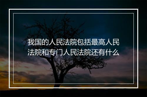 我国的人民法院包括最高人民法院和专门人民法院还有什么