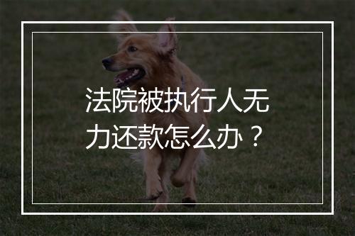 法院被执行人无力还款怎么办？