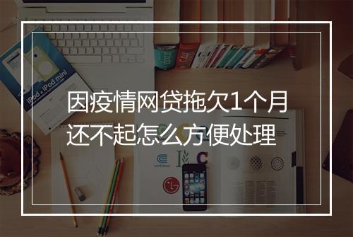 因疫情网贷拖欠1个月还不起怎么方便处理