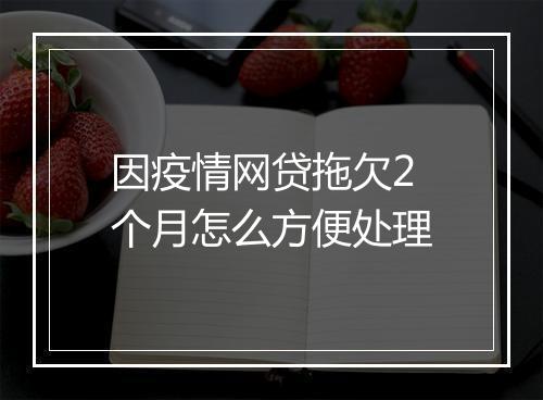 因疫情网贷拖欠2个月怎么方便处理