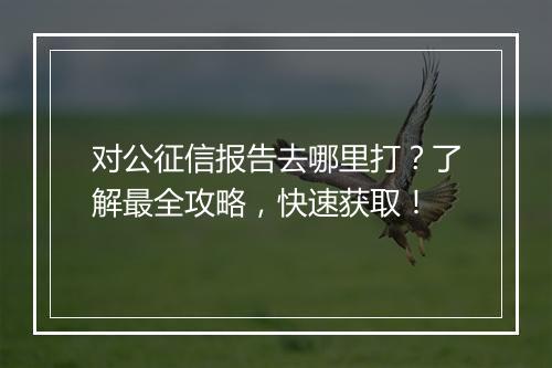 对公征信报告去哪里打？了解最全攻略，快速获取！