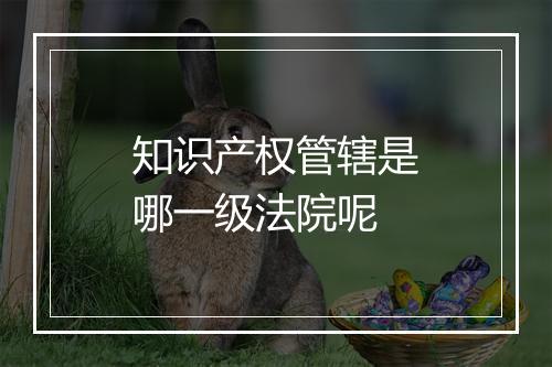 知识产权管辖是哪一级法院呢