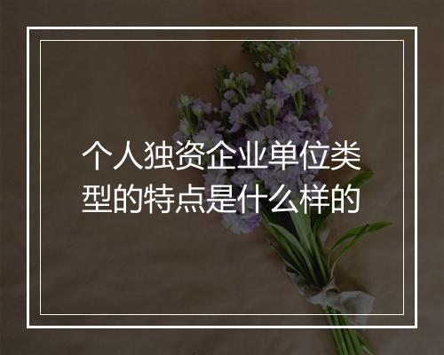 个人独资企业单位类型的特点是什么样的