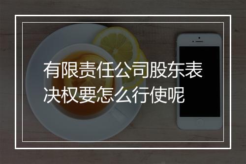 有限责任公司股东表决权要怎么行使呢