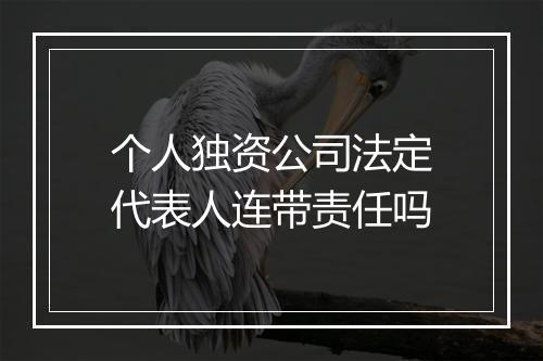 个人独资公司法定代表人连带责任吗