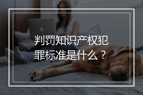 判罚知识产权犯罪标准是什么？