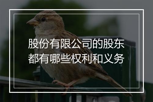 股份有限公司的股东都有哪些权利和义务