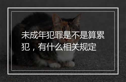 未成年犯罪是不是算累犯，有什么相关规定
