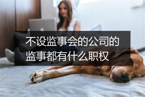 不设监事会的公司的监事都有什么职权