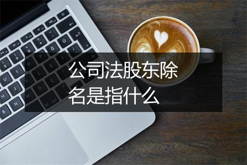公司法股东除名是指什么