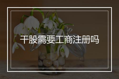 干股需要工商注册吗