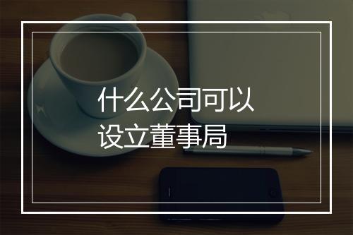 什么公司可以设立董事局