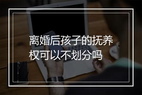 离婚后孩子的抚养权可以不划分吗