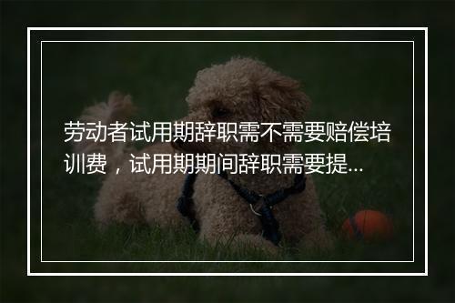 劳动者试用期辞职需不需要赔偿培训费，试用期期间辞职需要提前几天?