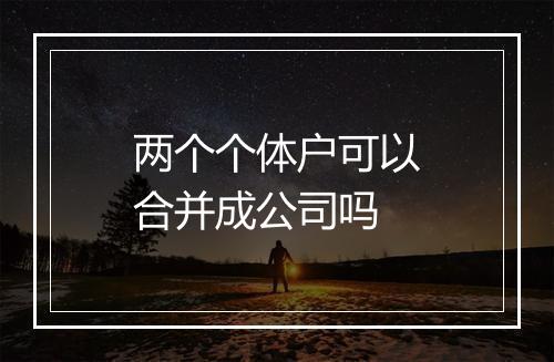 两个个体户可以合并成公司吗