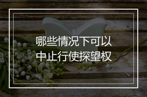 哪些情况下可以中止行使探望权
